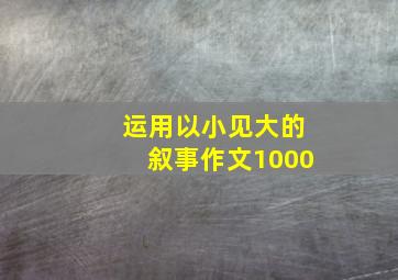 运用以小见大的叙事作文1000