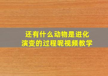 还有什么动物是进化演变的过程呢视频教学