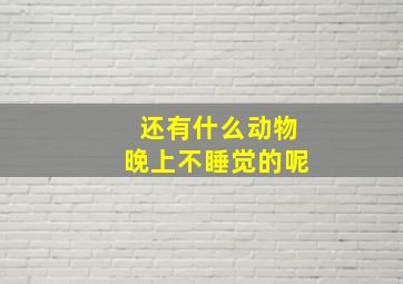 还有什么动物晚上不睡觉的呢