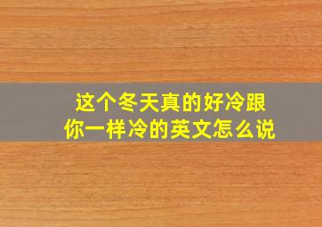 这个冬天真的好冷跟你一样冷的英文怎么说