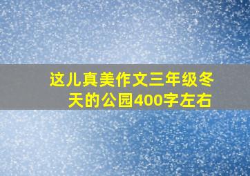 这儿真美作文三年级冬天的公园400字左右