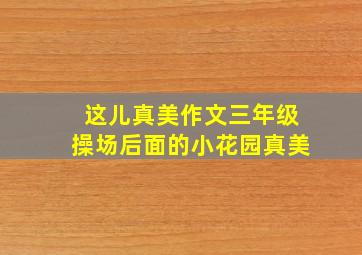 这儿真美作文三年级操场后面的小花园真美