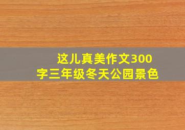 这儿真美作文300字三年级冬天公园景色