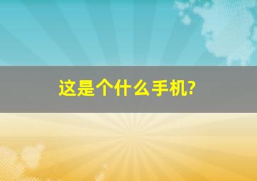 这是个什么手机?