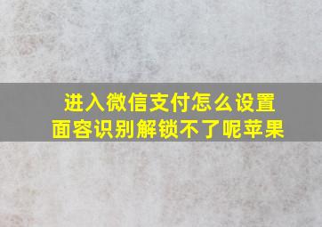 进入微信支付怎么设置面容识别解锁不了呢苹果