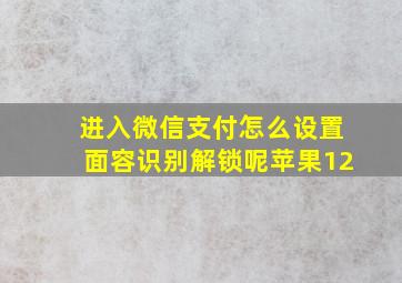 进入微信支付怎么设置面容识别解锁呢苹果12