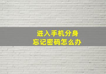 进入手机分身忘记密码怎么办