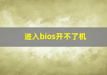 进入bios开不了机