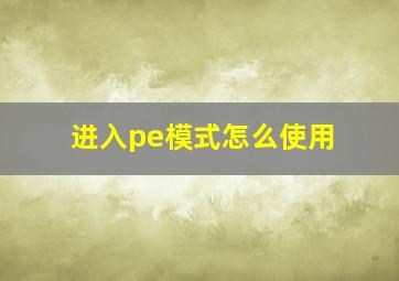 进入pe模式怎么使用