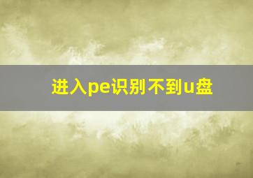 进入pe识别不到u盘