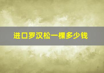 进口罗汉松一棵多少钱