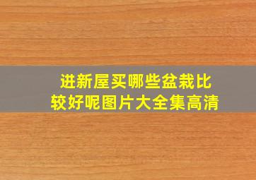 进新屋买哪些盆栽比较好呢图片大全集高清