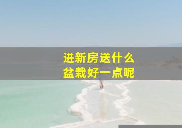 进新房送什么盆栽好一点呢