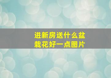 进新房送什么盆栽花好一点图片