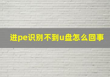 进pe识别不到u盘怎么回事