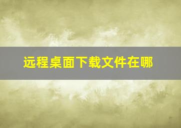 远程桌面下载文件在哪