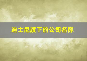 迪士尼旗下的公司名称