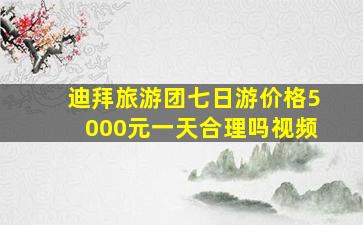 迪拜旅游团七日游价格5000元一天合理吗视频