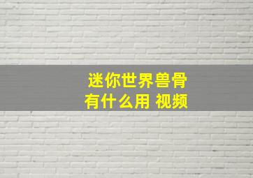 迷你世界兽骨有什么用 视频