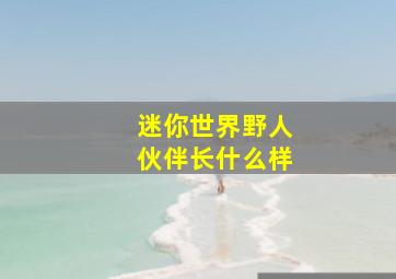 迷你世界野人伙伴长什么样