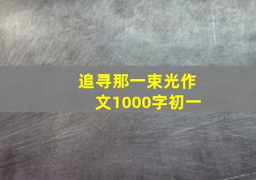 追寻那一束光作文1000字初一