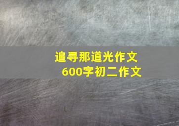 追寻那道光作文600字初二作文