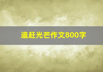 追赶光芒作文800字