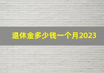 退休金多少钱一个月2023