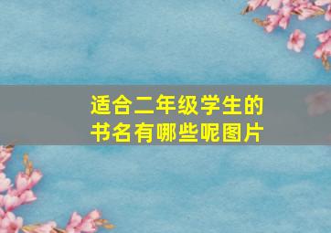 适合二年级学生的书名有哪些呢图片