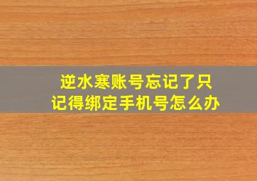 逆水寒账号忘记了只记得绑定手机号怎么办