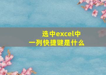 选中excel中一列快捷键是什么