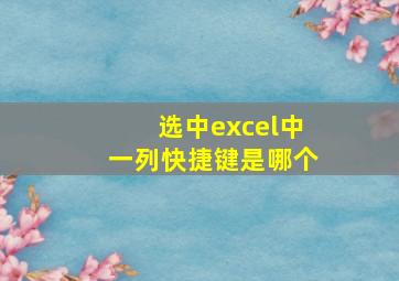 选中excel中一列快捷键是哪个