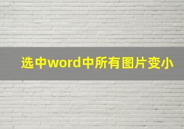 选中word中所有图片变小