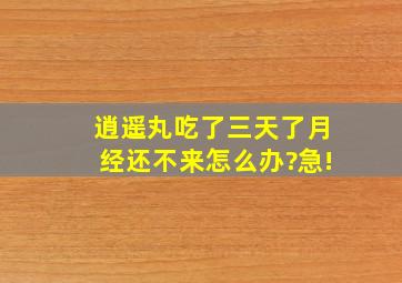 逍遥丸吃了三天了月经还不来怎么办?急!