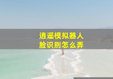 逍遥模拟器人脸识别怎么弄