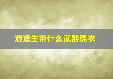 逍遥生带什么武器锦衣