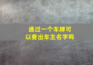 通过一个车牌可以查出车主名字吗