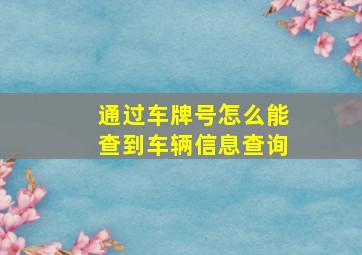 通过车牌号怎么能查到车辆信息查询