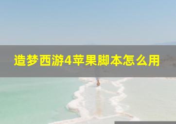 造梦西游4苹果脚本怎么用