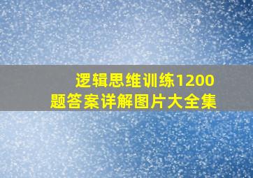 逻辑思维训练1200题答案详解图片大全集