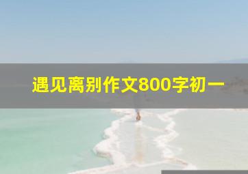 遇见离别作文800字初一