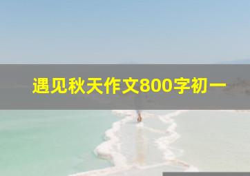 遇见秋天作文800字初一