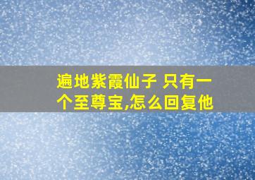 遍地紫霞仙子 只有一个至尊宝,怎么回复他