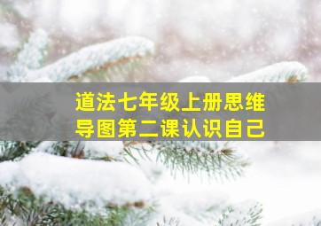 道法七年级上册思维导图第二课认识自己