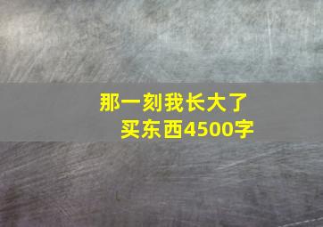 那一刻我长大了买东西4500字