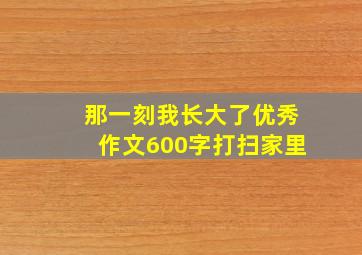 那一刻我长大了优秀作文600字打扫家里