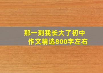 那一刻我长大了初中作文精选800字左右