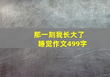 那一刻我长大了睡觉作文499字