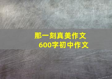 那一刻真美作文600字初中作文