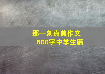 那一刻真美作文800字中学生篇